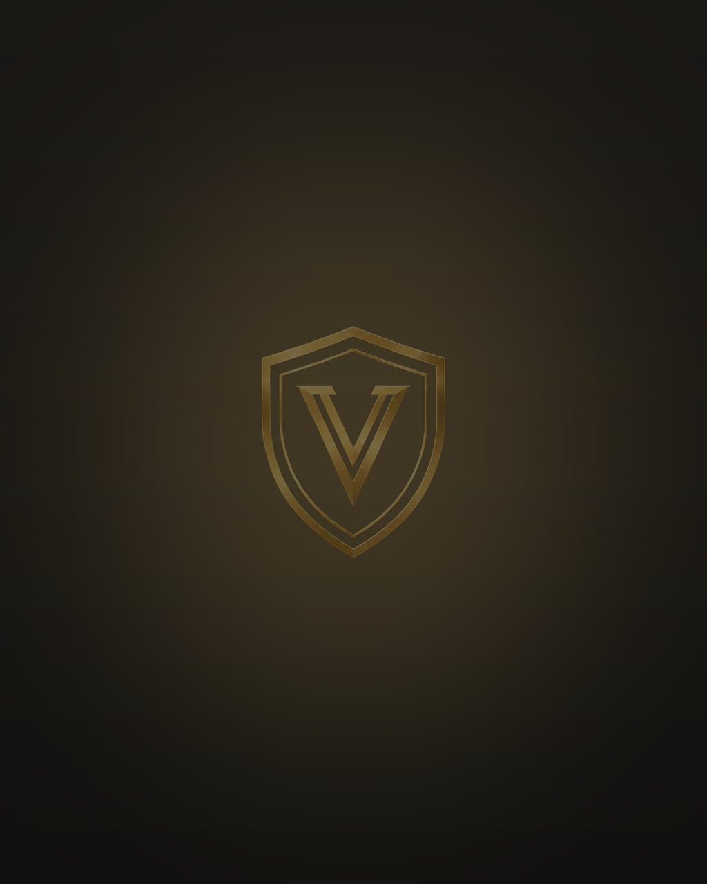 The Vitality Vault shield on a dark, warmly lit ground.